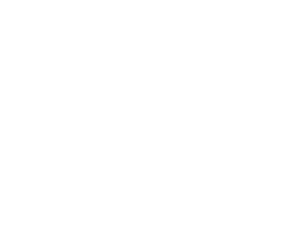 logo Detektyw Antoniak